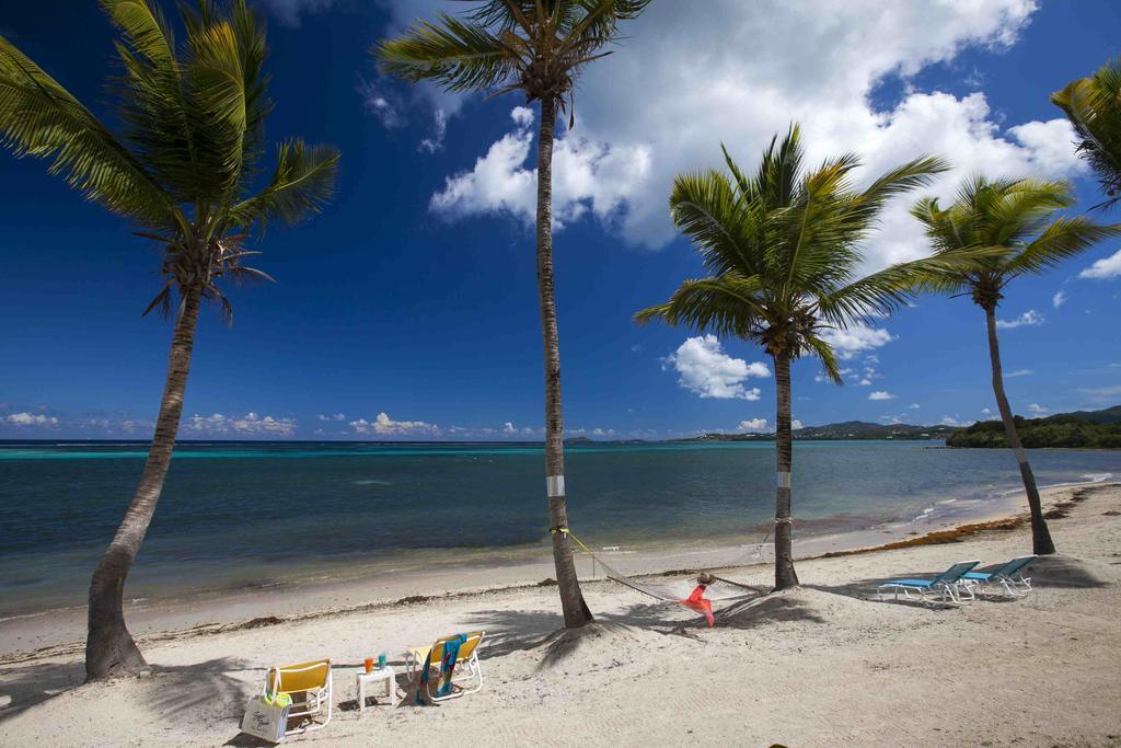Sugar Beach Condominiums Resort Christiansted Eksteriør bilde